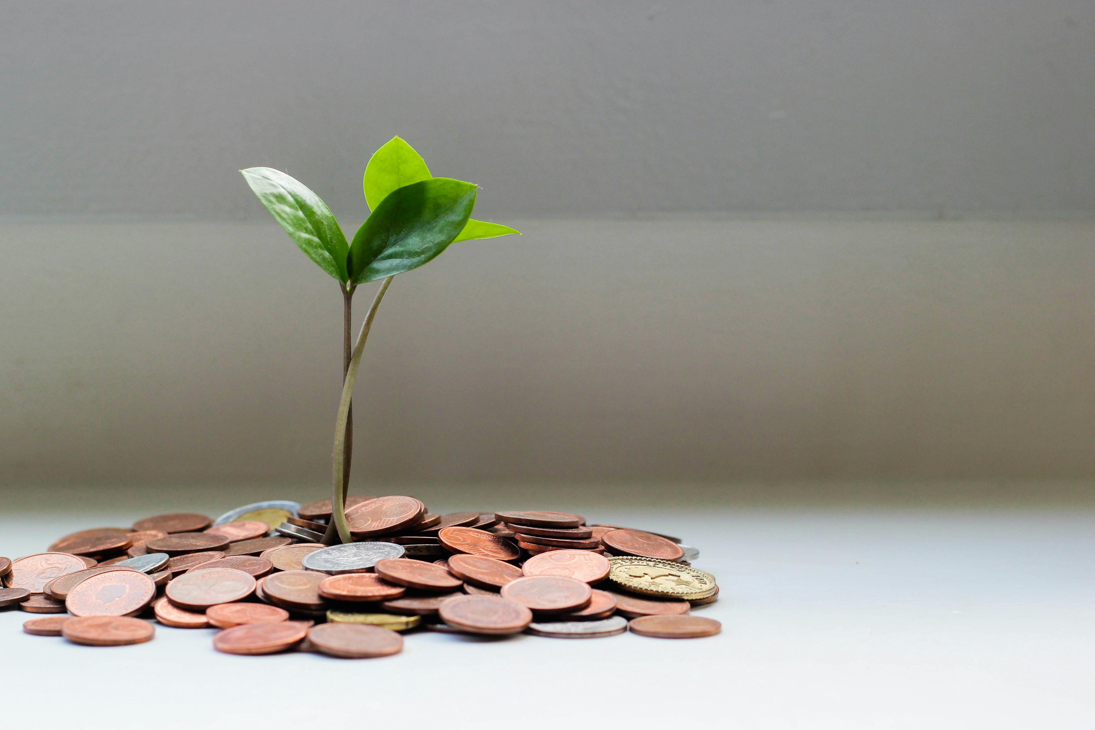 Clarity & Co. Financial