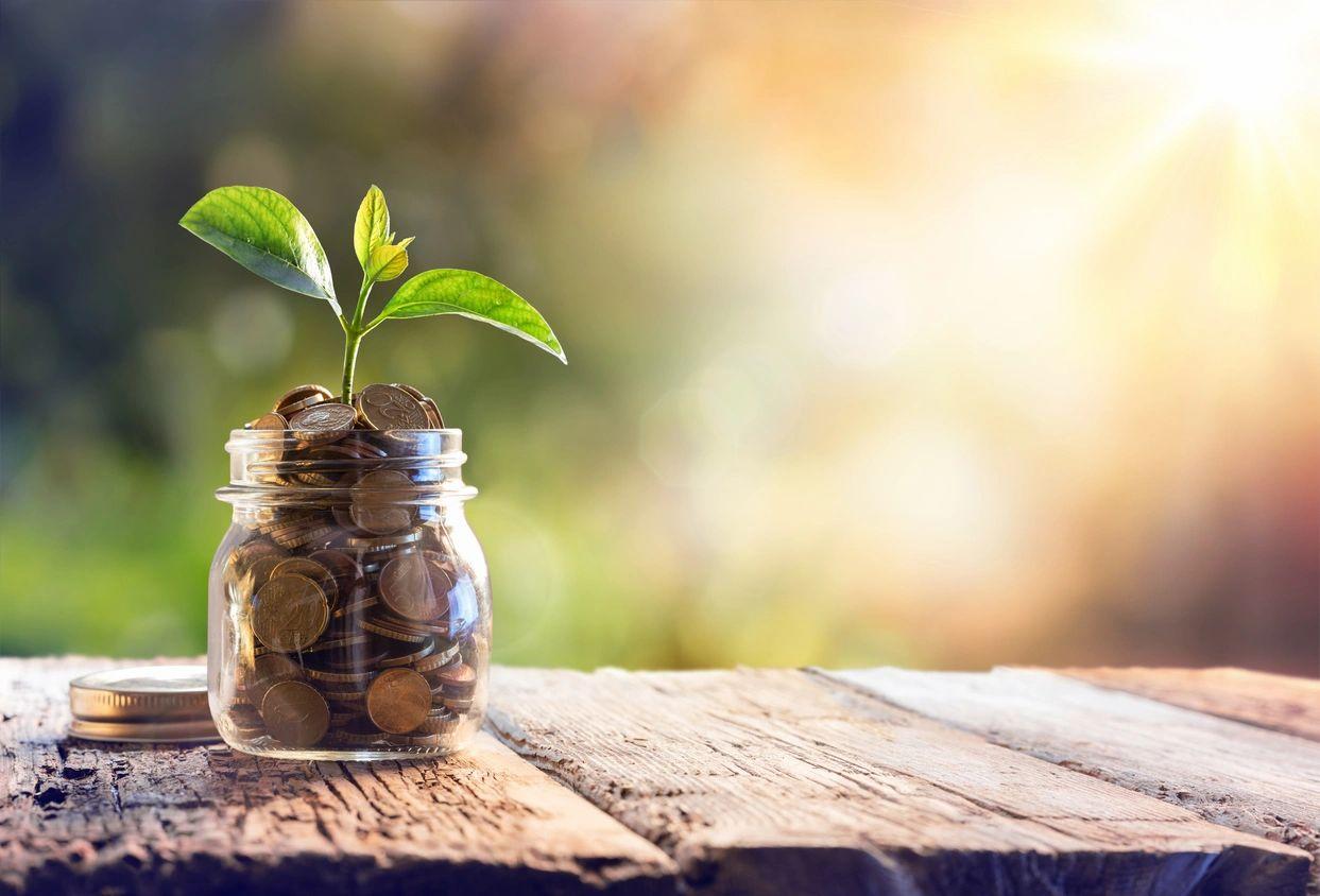 Clear Cents Bookkeeping