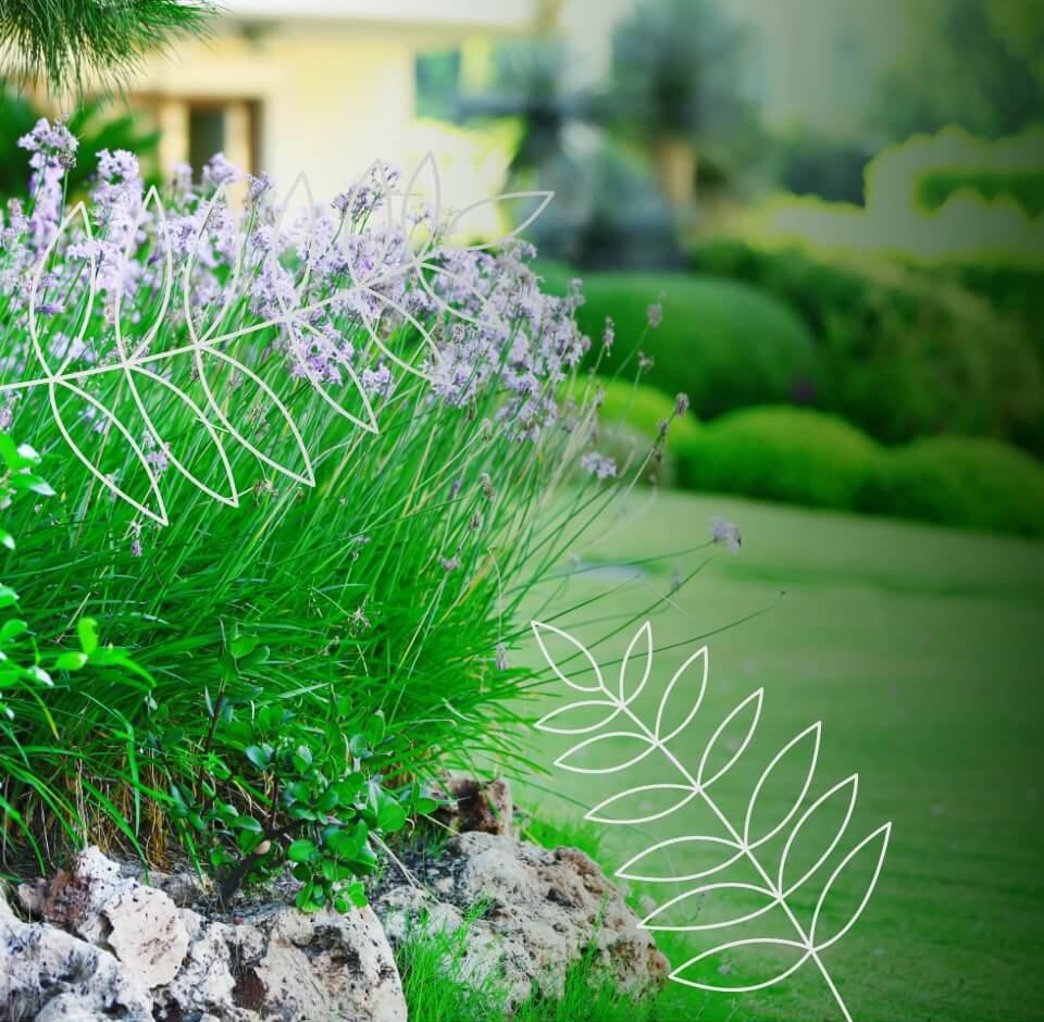 Connon Nurseries