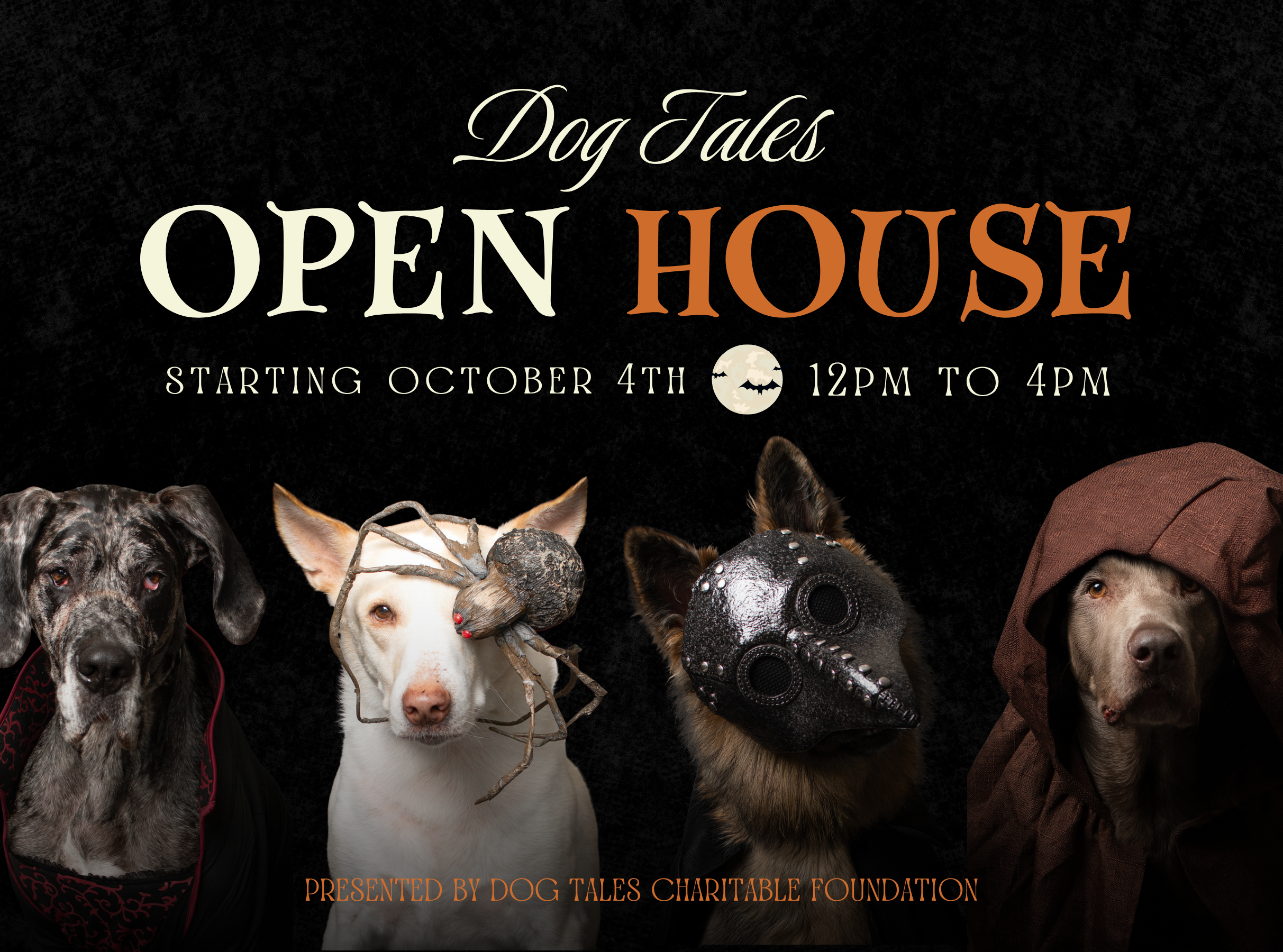 Dog Tales Rescue