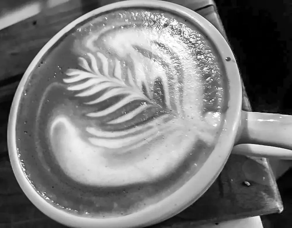 Grackle Coffee Company
