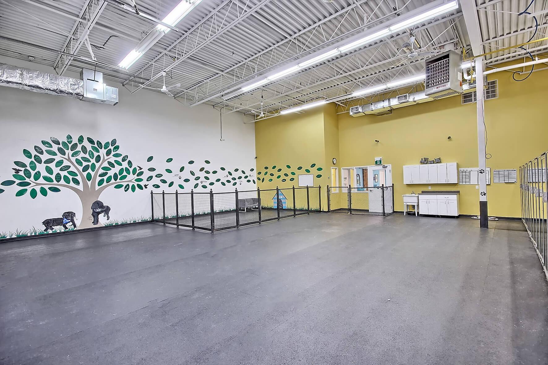 Wag Awhile Doggie Daycare