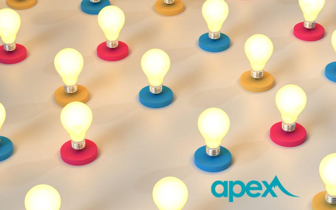 Apex Performance Consultants Ltd.