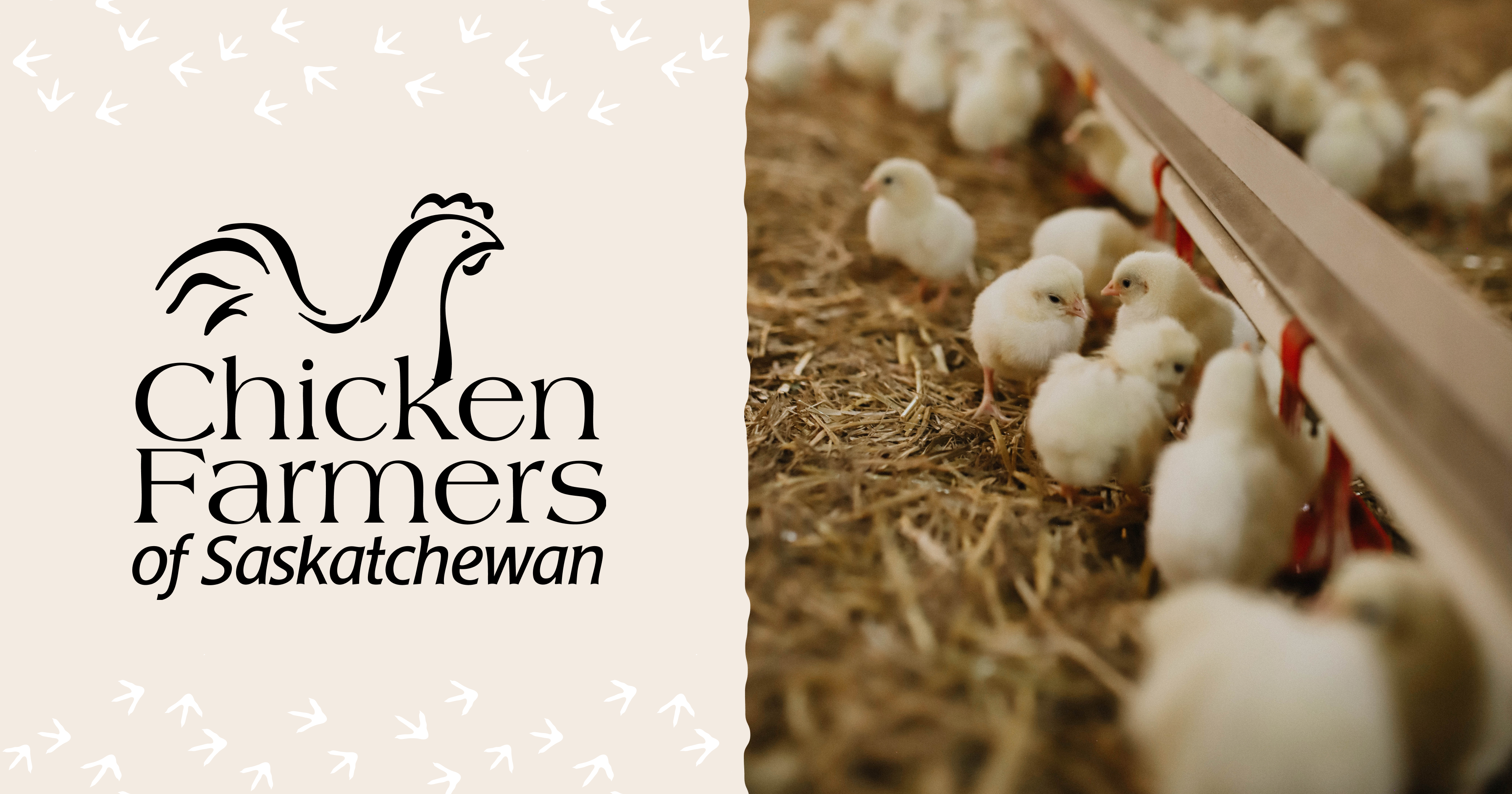 Chicken Farmers of Saskatchewan