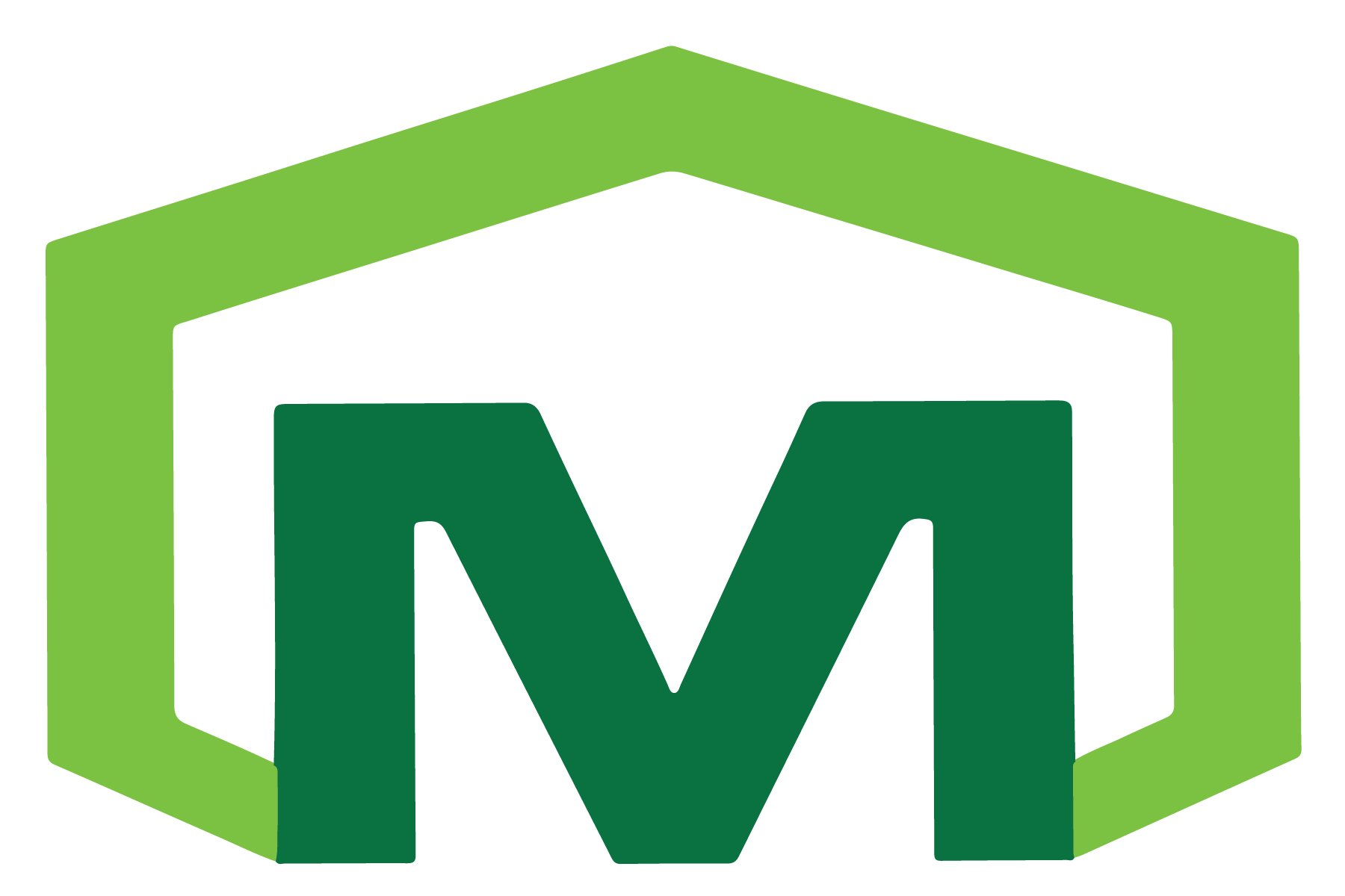 Magnus Construction Services