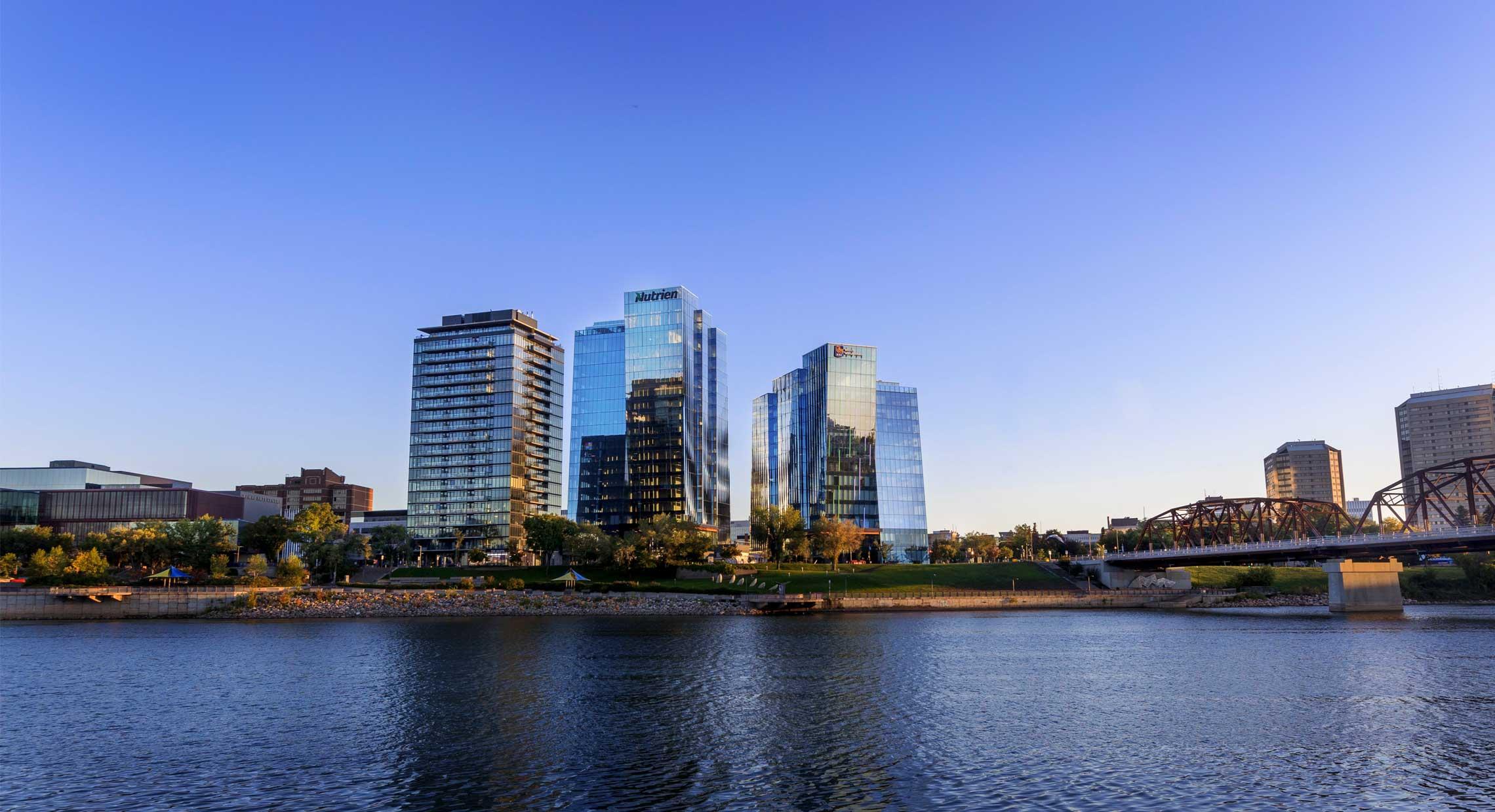 Scotia Wealth Management