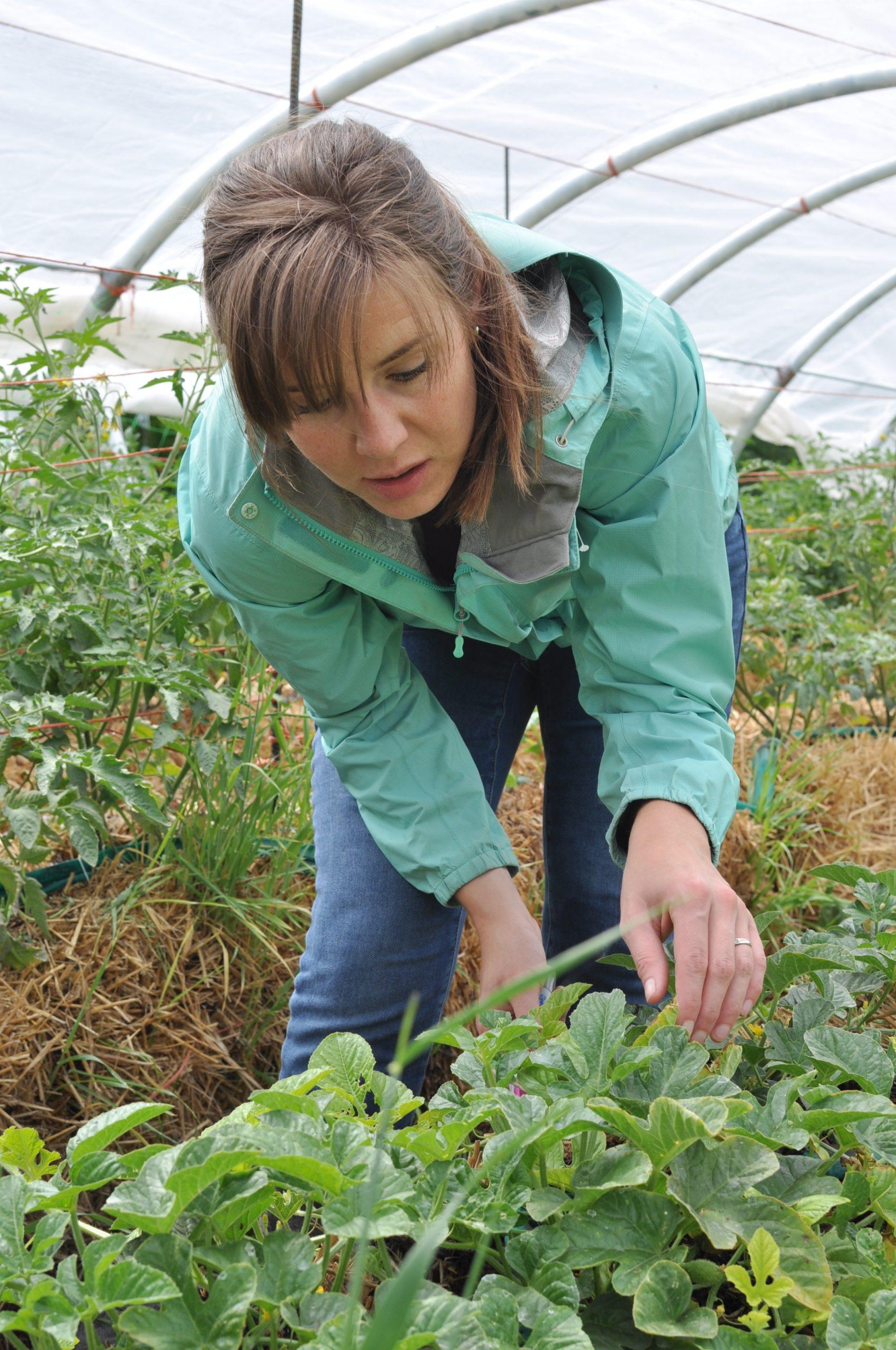 WESK - Women Entrepreneurs Saskatchewan