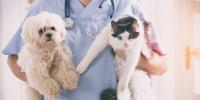Carleton Place Veterinary Hospital