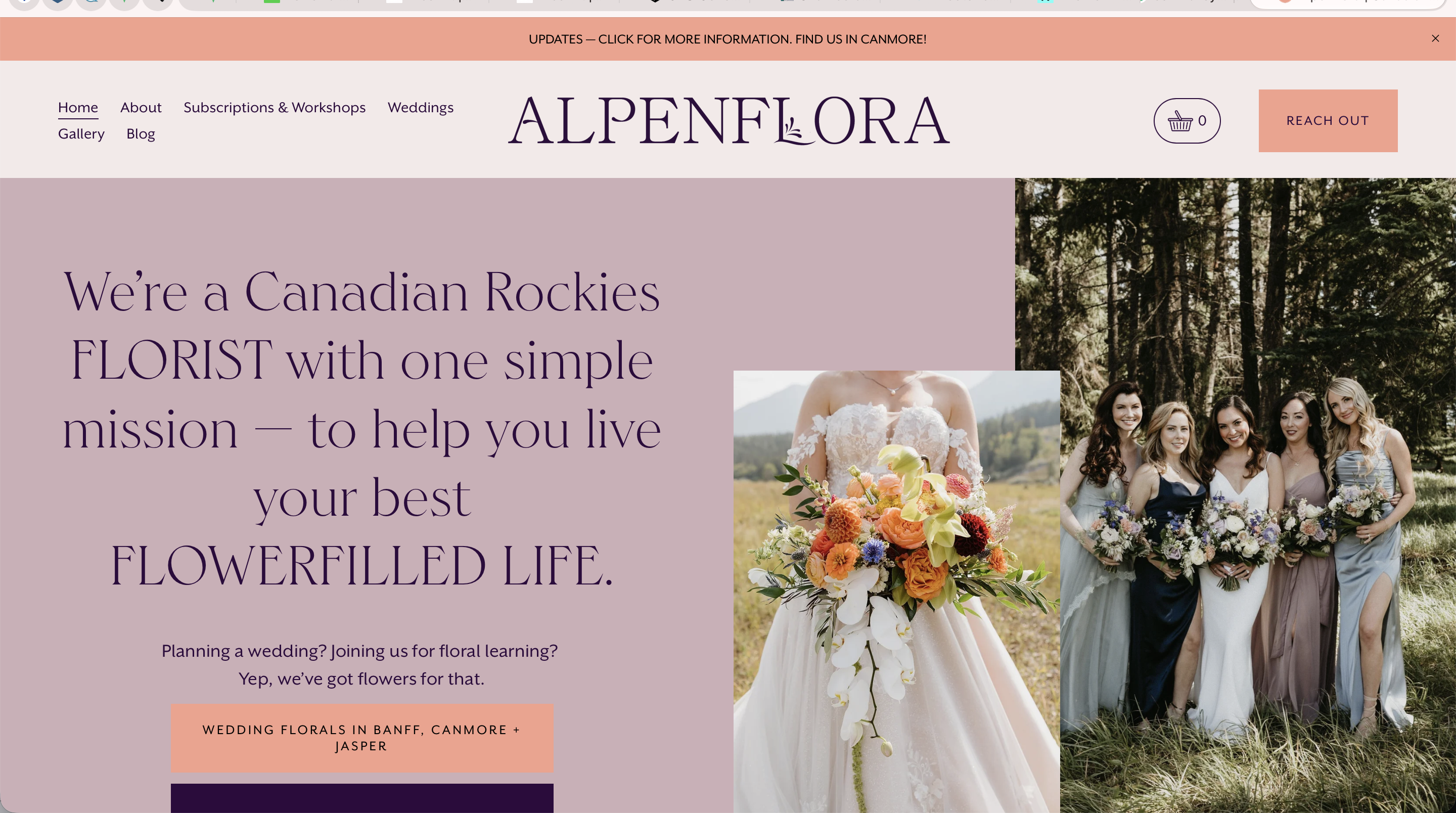 Alpenflora