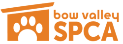 Bow Valley Society For The Prevention of Cruelty to Animals