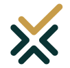 BRnX travel logo