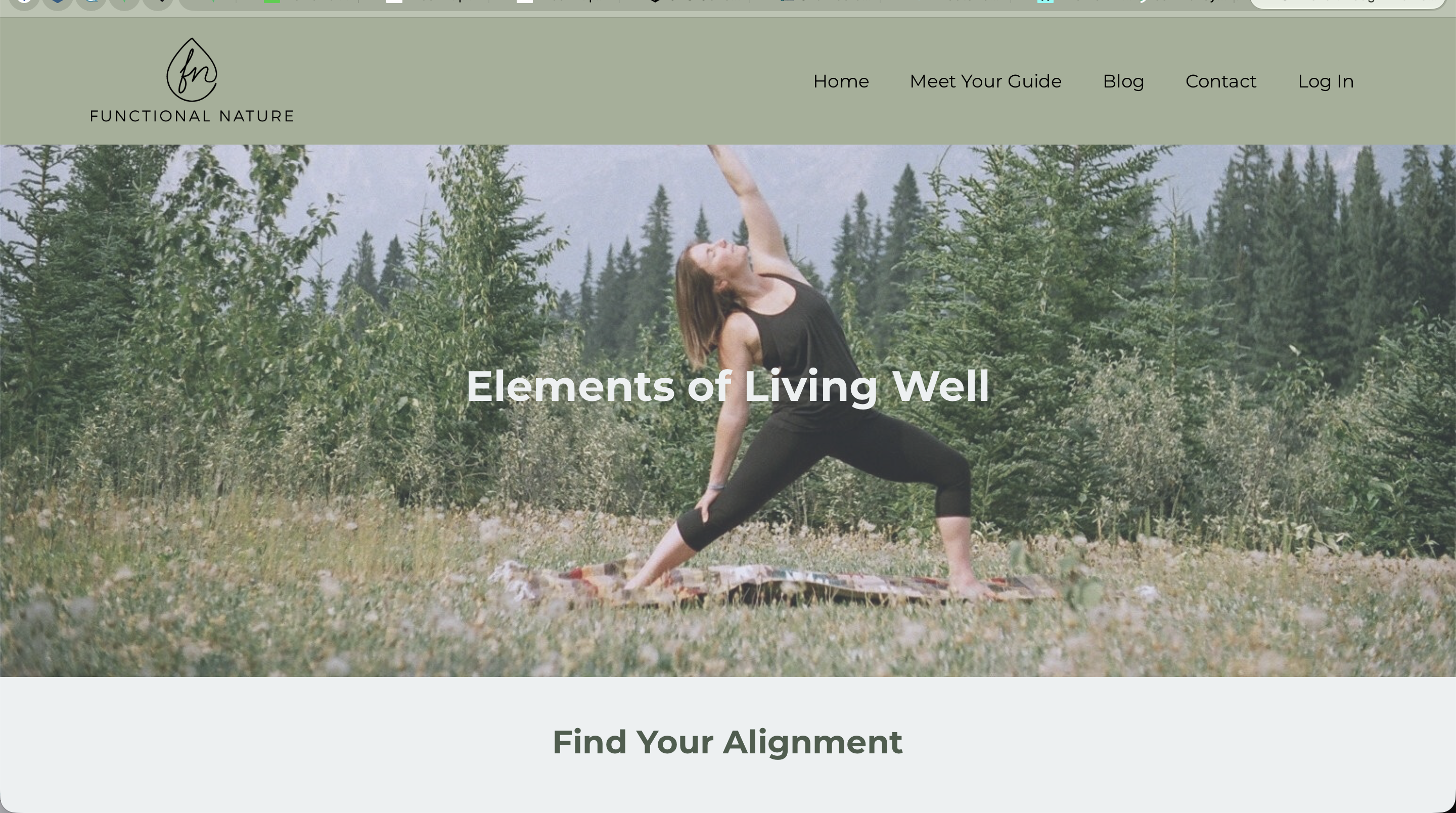 Functional Nature