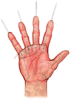 Osteopathy For All LDT.