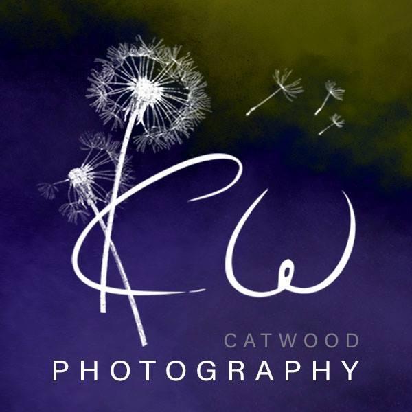CatWood Photography