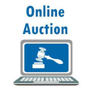 Dan Peters Auction
